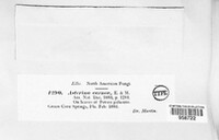 Image Associated With the Occurence